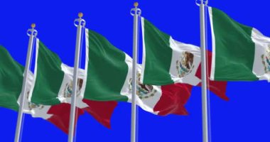 Mavi arka planda izole edilmiş Meksika ulusal bayrakları sallanıyor. Kusursuz 3D canlandırma animasyonu. Krom anahtar. Yavaş çekim döngüsü. Mavi ekran. 4 bin. Seçici odak