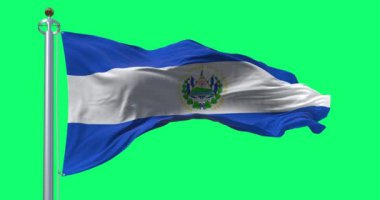 El Salvador ulusal bayrağı yeşil arka planda izole edildi. Kusursuz 3D canlandırma animasyonu. Krom anahtar. Yavaş çekim döngüsü. Yeşil ekran. 4K