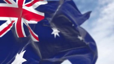 Avustralya ulusal bayrağının yakın çekimi açık bir gün sallıyor. Union Jack ile mavi bayrak, Güney Haçı 'nı simgeleyen 5 köşeli beyaz yıldız. Kusursuz 3 boyutlu animasyon. Yavaş çekim döngüsü. Seçici odak