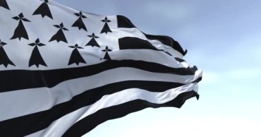 Açık bir günde Brittany bayrağının yakın çekimi. Brittany, Fransa 'nın batısında yer alan tarihi bir yarımadadır. Kusursuz 3 boyutlu animasyon. Yavaş çekim döngüsü. Seçici odak