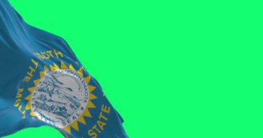 Güney Dakota bayrağının yakın çekimi yeşil arka planda izole edilmiş. Kusursuz 3D canlandırma animasyonu. Krom anahtar. Yavaş çekim döngüsü. Yeşil ekran. 4 bin. Seçici odak