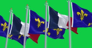 Ile de France bayrakları yeşil arka planda izole edilmiş ulusal Fransız bayrağıyla dalgalanıyor. Kusursuz 3D canlandırma animasyonu. Krom anahtar. Yavaş çekim döngüsü. Yeşil ekran. 4 bin. Seçici odak