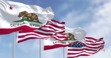 Kaliforniya eyalet bayrakları ve rüzgarda dalgalanan Amerikan bayrakları, bir kahverengi ayı ve California Cumhuriyeti sözleriyle. Kusursuz 3 boyutlu animasyon. Yavaş çekim döngüsü. Seçici odak
