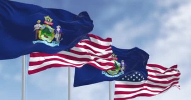 Maine eyaleti bayrakları ve açık havada rüzgarda dalgalanan Amerikan bayrağı. Amerikan bayrağı. Gurur ve vatanseverlik kavramı. Kusursuz 3 boyutlu animasyon. Yavaş çekim döngüsü. Seçici odak