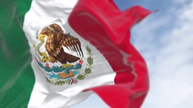 Meksika ulusal bayrakları dalgalanıyor. Üç renkli yeşil, beyaz ve kırmızı. Beyaz çizginin ortasında milli arma var. Kusursuz 3 boyutlu animasyon. Yavaş çekim döngüsü. Seçici odak