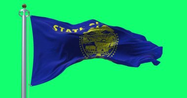 Oregon eyaleti bayrağı rüzgarda dalgalanıyor yeşil arka planda izole edilmiş. Kusursuz 3D canlandırma animasyonu. Krom anahtar. Yavaş çekim döngüsü. Yeşil ekran. 4K