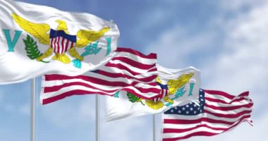 Amerika Birleşik Devletleri Virjin Adaları bayrakları Amerikan bayraklarıyla dalgalanıyor. Birleşik Devletler 'in birleşik ve organize olmayan toprakları. Kusursuz 3 boyutlu animasyon. Yavaş çekim döngüsü. Seçici odak