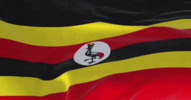 Uganda ulusal bayrağı dalgalanıyor. Altı yatay çizgili siyah, sarı ve kırmızı. Ortasında gri taçlı bir vinç olan beyaz disk. Kusursuz 3 boyutlu animasyon. Yavaş çekim döngüsü