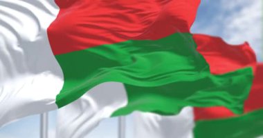 Madagaskar 'ın ulusal bayrakları açık bir günde dalgalanıyor. İki yatay şerit kırmızı ve yeşil, solunda beyaz dikey şerit var. Kusursuz 3 boyutlu animasyon. Yavaş çekim döngüsü. Seçici odak