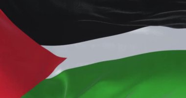 Filistin ulusal bayrağı açık bir günde dalgalanıyor. Solunda kırmızı üçgen olan üç siyah, beyaz, yeşil şerit. Kusursuz 3 boyutlu animasyon. Yavaş çekim döngüsü. Seçici odak