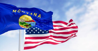 Montana state flags waving in the wind with the American flag on a clear day. US state flag. Patriotism and national pride. Seamless 3d render animation. Slow motion loop. Selective focus clipart