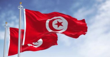 Tunus ulusal bayrağının dalgalanma detayları. Merkezinde beyaz daire olan kırmızı, çemberin içinde kırmızı yıldız ve hilal. Maghreb bölgesi. Kusursuz 3 boyutlu animasyon. Yavaş çekim döngüsü