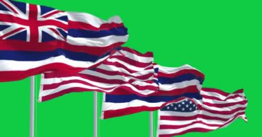 Hawaii eyaleti bayrakları yeşil arka planda ABD bayraklarıyla dalgalanıyor. Kusursuz 3D canlandırma animasyonu. Krom anahtar. Yavaş çekim döngüsü. Yeşil ekran. 4 bin. Seçici odak