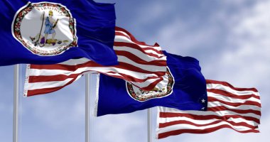 Virginia eyalet bayrağı açık bir günde rüzgarda dalgalanıyor. Koyu mavi arka planda eyalet mührü. 3D illüstrasyon canlandırıcı. Dalgalanan kumaş