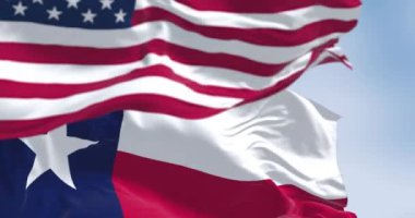 Teksas eyaletinin bayrakları Amerikan bayrağıyla rüzgarda dalgalanıyor. Beyaz yıldızlı mavi dikey çizgi, beyaz ve kırmızı yatay çizgiler. Kusursuz 3 boyutlu animasyon. Yavaş çekim döngüsü. Seçici odak