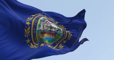 New Hampshire eyaleti bayrağı açık havada rüzgarda sallanıyor. Ortasında eyalet mührü olan koyu mavi bir arka plan. Kusursuz 3 boyutlu animasyon. Yavaş çekim döngüsü. Seçici odak