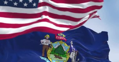 Maine eyaleti bayrakları ve açık havada rüzgarda dalgalanan Amerikan bayrağı. Amerikan bayrağı. Gurur ve vatanseverlik kavramı. Kusursuz 3 boyutlu animasyon. Yavaş çekim döngüsü. Seçici odak
