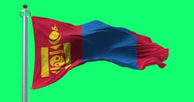Rüzgarda dalgalanan Moğolistan ulusal bayrağı yeşil arka planda izole edildi. Kusursuz 3D canlandırma animasyonu. Krom anahtar. Yavaş çekim döngüsü. Yeşil ekran. 4 bin. Seçici odak