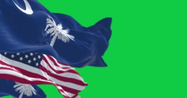 Güney Carolina eyaletinin bayrakları yeşil arka planda izole edilmiş Amerikan bayrağıyla dalgalanıyor. Kusursuz 3D canlandırma animasyonu. Krom anahtar. Yavaş çekim döngüsü. Yeşil ekran. 4 bin. Seçici odak