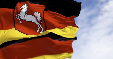 Açık bir günde Alman bayrağıyla dalgalanan Saksonya eyaleti bayrağı. Siyah, kırmızı ve sarı çizgili, ortasında armalar olan. Alman devleti. 3 boyutlu illüstrasyon. Dalgalanan kumaş. Seçici odak