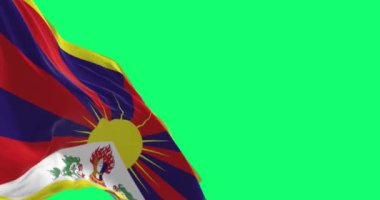 Tibet bayrağının, yeşil arka planda yalıtılmış rüzgarda dalgalanan yakın çekimi. Kusursuz 3D canlandırma animasyonu. Krom anahtar. Yavaş çekim döngüsü. Yeşil ekran. 4 bin. Seçici odak
