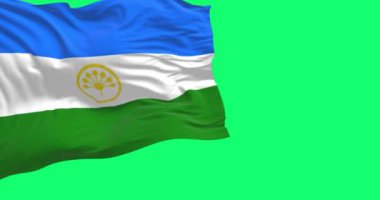 Bashkortostan Cumhuriyeti bayrağı yeşil arka planda yalıtılmış bir şekilde rüzgarda dalgalanıyor. Kusursuz 3D canlandırma animasyonu. Krom anahtar. Yavaş çekim döngüsü. Yeşil ekran. 4 bin. Seçici odak
