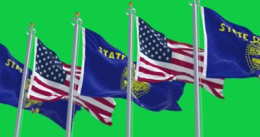 Oregon eyaleti bayrakları rüzgarda dalgalanırken Amerikan bayrakları yeşil arka planda izole edildi. Kusursuz 3D canlandırma animasyonu. Krom anahtar. Yavaş çekim döngüsü. Yeşil ekran. 4 bin. Seçici odak
