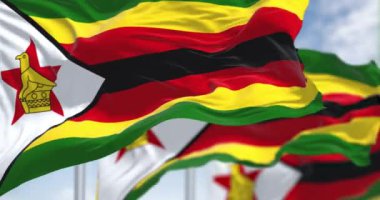 Zimbabwe ulusal bayrakları dalgalanıyor. Yatay çizgiler yeşil, sarı, kırmızı ve siyah. Kırmızı yıldızlı ve sarı kuşlu beyaz üçgen. Kusursuz 3 boyutlu animasyon. Yavaş çekim döngüsü. Seçici odak.