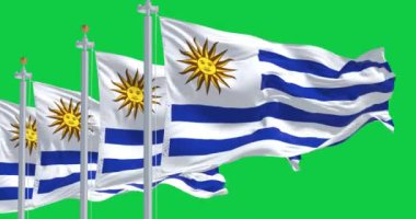 Yeşil arka planda izole edilmiş Panama ulusal bayrakları rüzgarda dalgalanıyor. Kusursuz 3D canlandırma animasyonu. Krom anahtar. Yavaş çekim döngüsü. Yeşil ekran. 4 bin. Seçici odak