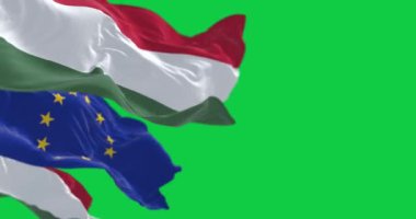 Yeşil arka planda izole edilmiş Panama ulusal bayrakları rüzgarda dalgalanıyor. Kusursuz 3D canlandırma animasyonu. Krom anahtar. Yavaş çekim döngüsü. Yeşil ekran. 4 bin. Seçici odak