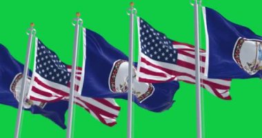 Virginia ve ABD bayrakları yeşil arka planda yalıtılmış rüzgarda dalgalanıyor. Kusursuz 3D canlandırma animasyonu. Krom anahtar. Yavaş çekim döngüsü. Yeşil ekran. 4 bin. Seçici odak