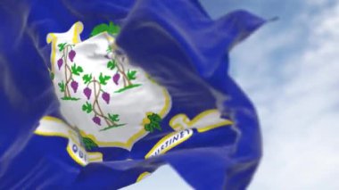 Connecticut eyaletinin rüzgarda dalgalanan bayrağının yakın çekimi. Amerikan bayrağı. Gurur ve vatanseverlik kavramı. Kusursuz 3 boyutlu animasyon. Yavaş çekim döngüsü. Seçici odak.