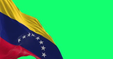 Venezuela ulusal bayrağının yakın çekimleri yeşil arka planda izole edilmiş. Kusursuz 3D canlandırma animasyonu. Krom anahtar. Yavaş çekim döngüsü. Yeşil ekran. 4 bin. Seçici odak