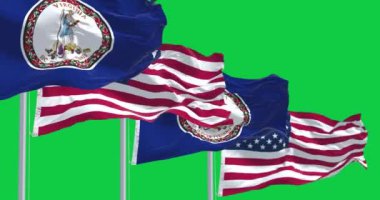 Virginia eyalet bayrağı yeşil arka planda rüzgarda sallanıyor. Kusursuz 3D canlandırma animasyonu. Krom anahtar. Yavaş çekim döngüsü. Yeşil ekran. 4 bin. Seçici odak