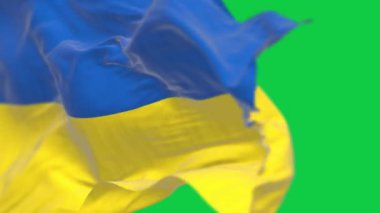 Yeşil arka planda izole edilmiş Ukrayna ulusal bayrağının yakın çekimi. Kusursuz 3D canlandırma animasyonu. Krom anahtar. Yavaş çekim döngüsü. Yeşil ekran. 4 bin. Seçici odak