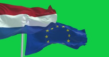 Hollanda ve Avrupa Birliği 'nin bayrakları yeşil arka planda izole bir şekilde rüzgarda sallanıyor. Kusursuz 3D canlandırma animasyonu. Krom anahtar. Yavaş çekim döngüsü. Yeşil ekran. 4K