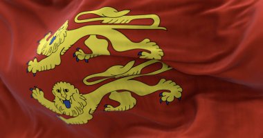 Normandiya bayrağının rüzgarda dalgalanan yakın çekimi. Normandiya, Fransa 'nın kuzeyinde bir bölge. 3D illüstrasyon canlandırıcı. Dalgalı tekstil. Seçici odak