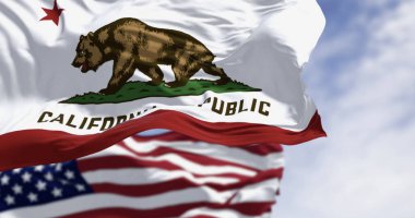 Kaliforniya eyalet bayrağı ve rüzgarda dalgalanan Amerikan bayrağı, bir kahverengi ayı ve California Cumhuriyeti kelimeleriyle birlikte. 3D illüstrasyon canlandırıcı. Kanat çırpan kumaş. Seçici odak