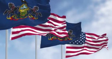 Pennsylvania eyalet bayrakları Amerikan bayraklarıyla dalgalanıyor. Eyalet armalı mavi tarla: Atlar arasında kalkan, üstte kartal. Kusursuz 3 boyutlu animasyon. Yavaş çekim döngüsü. Seçici odak.