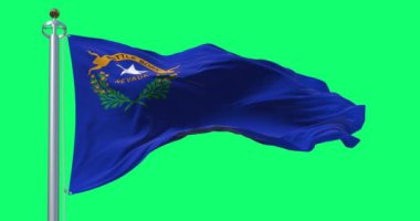 Nevada eyaleti bayrağı yeşil arka planda rüzgarda sallanıyor. Kusursuz 3D canlandırma animasyonu. Krom anahtar. Yavaş çekim döngüsü. Yeşil ekran. 4 bin. Seçici odak