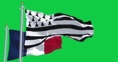 Yeşil arka planda Fransız bayrağı dalgalanan Britanya bayrağı. Kusursuz 3D canlandırma animasyonu. Krom anahtar. Yavaş çekim döngüsü. Yeşil ekran. 4 bin. Seçici odak