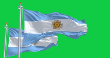 Yeşil arka planda iki Arjantin bayrağı sallanıyor. Kusursuz 3D canlandırma animasyonu. Krom anahtar. Yavaş çekim döngüsü. Yeşil ekran. 4 bin. Seçici odak