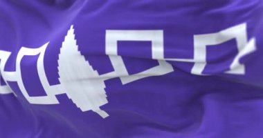 Iroquois bayrağının yakın çekimi. Dört bağlı beyaz kareli mor bayrak ve ortada bir doğu beyaz çam ağacı. Kusursuz 3 boyutlu animasyon. Yavaş çekim döngüsü. Seçici odak.