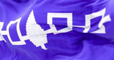 Iroquois bayrağının yakın çekimi. Dört bağlı beyaz kareli mor bayrak ve ortada bir doğu beyaz çam ağacı. 3D illüstrasyon canlandırıcı. Dalgalanan kumaş arkaplanı