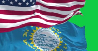 Güney Dakota eyalet bayrağının yakın çekimi ABD bayrağıyla dalgalanıyor. Yeşil arka planda izole edilmiş. Kusursuz 3D canlandırma animasyonu. Krom anahtar. Yavaş çekim döngüsü. Yeşil ekran. 4 bin. Seçici odak