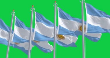 Utah Arı Kovanı Bayrağı ve yeşil arka planda izole edilmiş Amerikan bayrağı. Kusursuz 3D canlandırma animasyonu. Krom anahtar. Yavaş çekim döngüsü. Yeşil ekran. 4 bin. Seçici odak