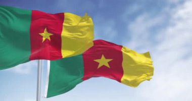 Kamerun ulusal bayrakları dalgalanıyor. Ortasında yeşil, kırmızı ve sarı üç dikey çizgi var. Kusursuz 3 boyutlu animasyon. Yavaş çekim döngüsü. Seçici odaklanma. Dalgalanan kumaş