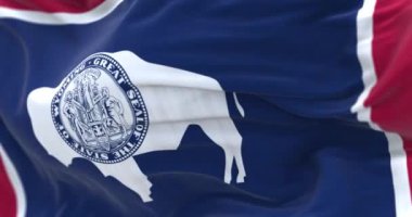 Wyoming eyaletinin rüzgarda dalgalanan bayrağının yakın çekimi. Beyaz Bizon silueti. Kusursuz 3 boyutlu animasyon. Yavaş çekim döngüsü. Seçici odaklanma. Dalgalanan kumaş.