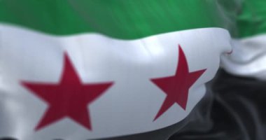 Suriye ulusal bayrağının rüzgarda dalgalandığı yakın çekim. Yatay üç renkli yeşil, beyaz, siyah, üç yeşil beş köşeli yıldız. Kusursuz 3 boyutlu animasyon. Yavaş çekim döngüsü. Seçici odak