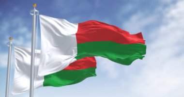 Madagaskar 'ın ulusal bayrakları açık bir günde dalgalanıyor. İki yatay şerit kırmızı ve yeşil, solunda beyaz dikey şerit var. Kusursuz 3 boyutlu animasyon. Yavaş çekim döngüsü. Dalgalanan kumaş.